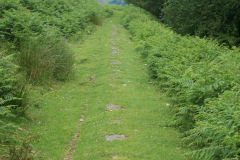 
Hills Tramroad to Llanfoist, Tramroad sleepers from East, June 2009
